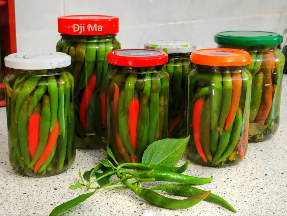 Csípős paprika télre