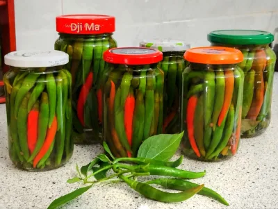 Csípős paprika télre